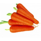 Семена морковь Абако F1 100 шт (проф) Seminis (Семинис)