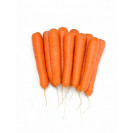 Семена морковь Октаво F1 100 шт (проф) Vilmorin (Вильморин)