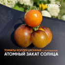 Семена томат Атомный закат солнца(Синие)(Низкорослые)