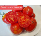Семена Томат Бычье сердце Хорватии (Высокорослые)(Красные)