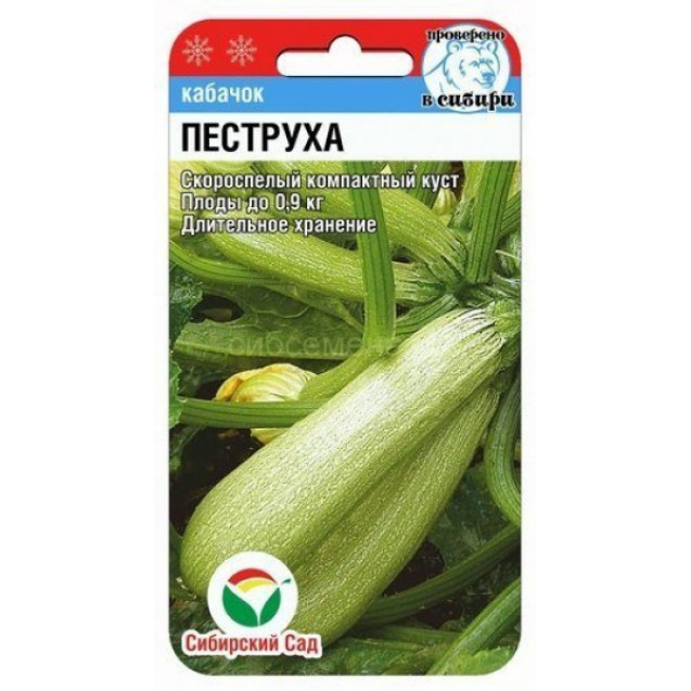 Семена Кабачок Пеструха 5шт Сибирский сад