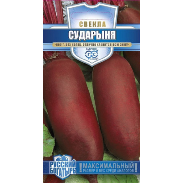 Семена Свекла Сударыня 2г Русский богатырь! Гавриш