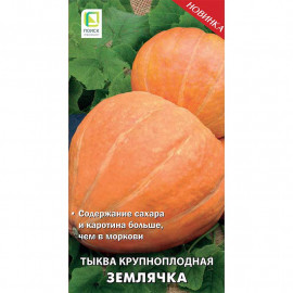 Семена Тыква Землячка 10шт крупноплодная Поиск