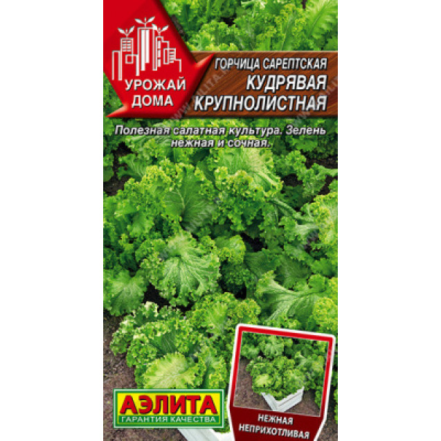 Семена Горчица Кудрявая крупнолистная 0,5г Аэлита