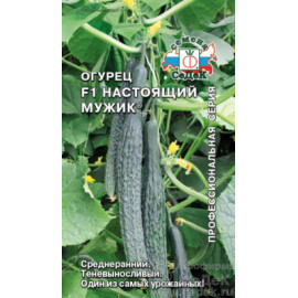 Семена Огурец Настоящий мужик 0,2г Седек