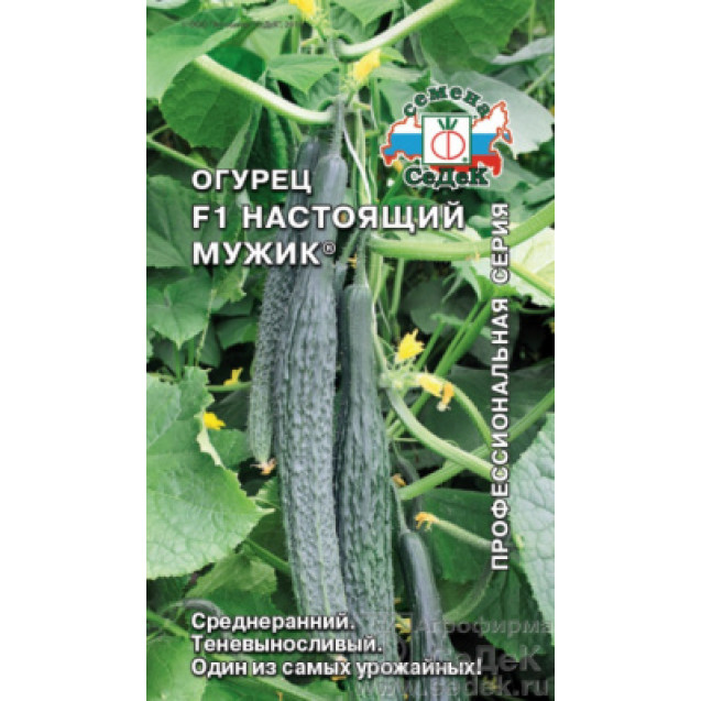 Семена Огурец Настоящий мужик 0,2г Седек