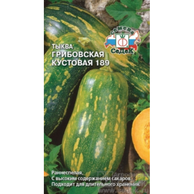 Семена Тыква Грибовская кустовая 1г твердокорая Седек