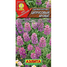 Семена Бергамот Цитрусовый аромат садовый 0,02г Аэлита