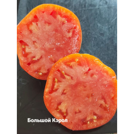 Семена Томат Большой Кэрол (Высокорослые)(Красные)(Крупноплодные)
