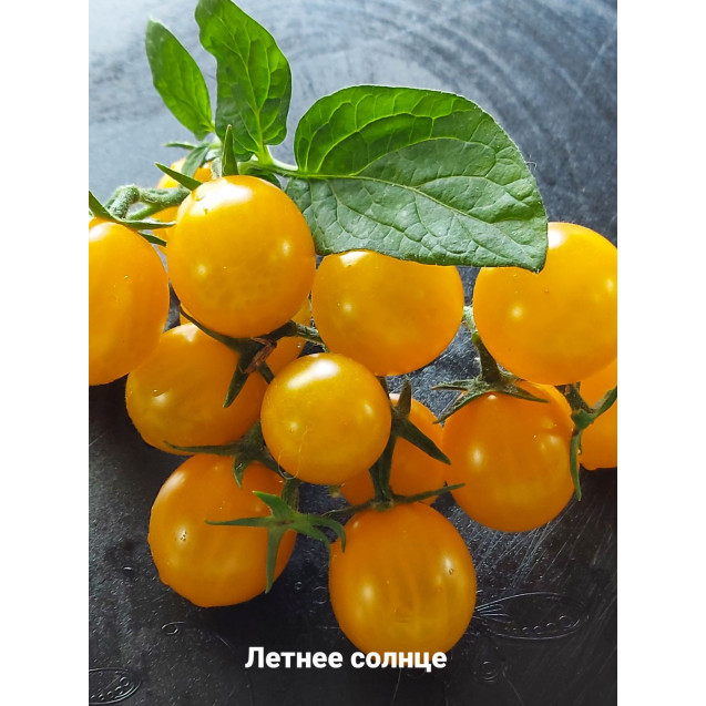 Семена Томат Летнее солнце (Саммер Сан) (Коктейльные)