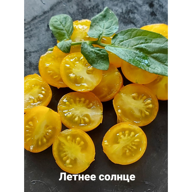 Семена Томат Летнее солнце (Саммер Сан) (Коктейльные)