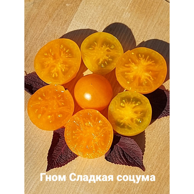 Семена Томат Гном Сладкая Соцума 10 шт