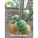 Семена Томат Гном Улуру Охра 10 шт