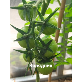 Семена Томат Долгохранящийся Колядник