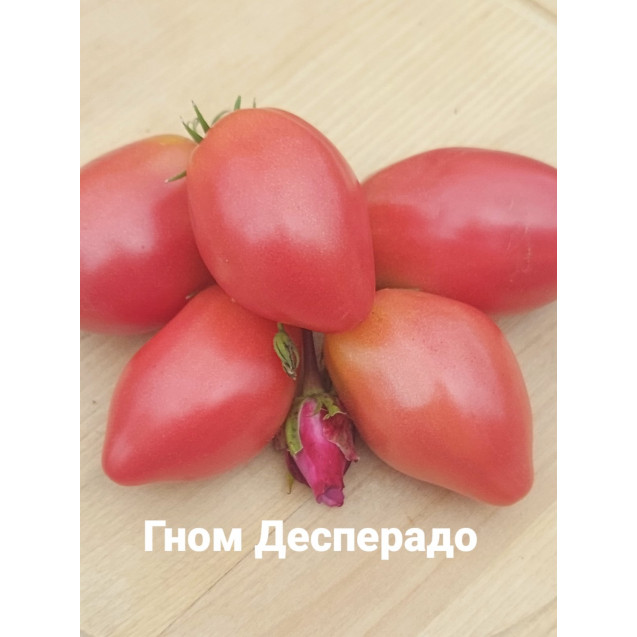Семена Томат Гном Десперадо Отчаянный