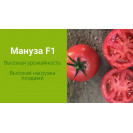 Семена Томат Мануза F1 3 шт Rijk Zwaan (Райк Цваан)