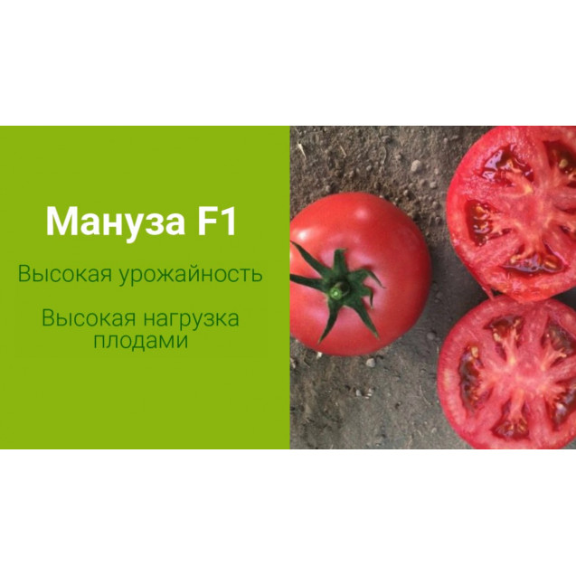 Семена Томат Мануза F1 3 шт Rijk Zwaan (Райк Цваан)