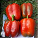 Семена Перец Екла сладкий F1 3 шт Syngenta (Сингента)