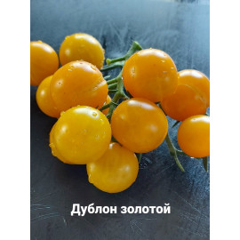Семена Томат Дублон золотой (высокорослый, желтый, черри)