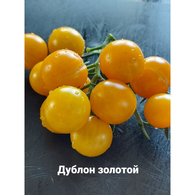 Семена Томат Дублон золотой (высокорослый, желтый, черри)