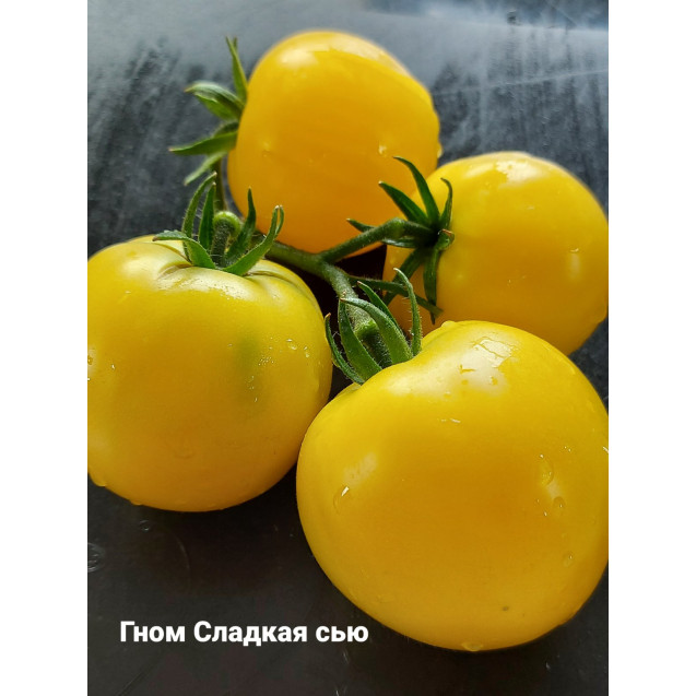 Семена Томат Гном Сладкая Сью