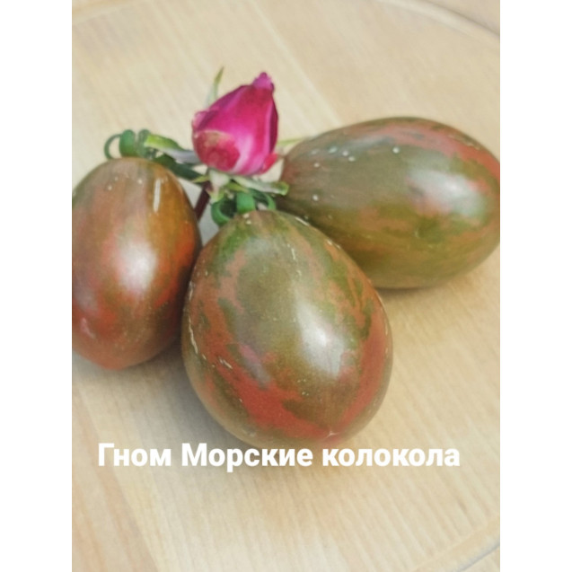 Семена Томат Гном Морские колокола