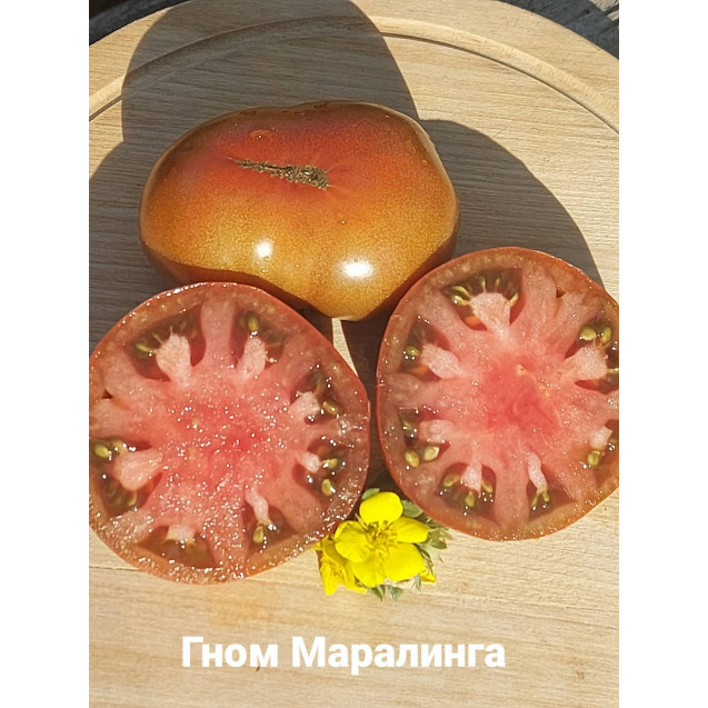 Семена Томат Гном Маралинга