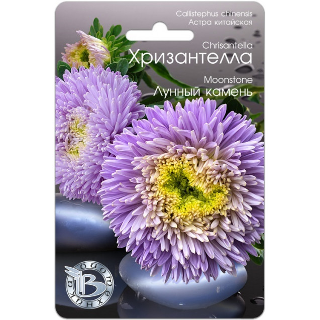 Семена Астра Хризантелла Лунный камень 30шт Биотехника