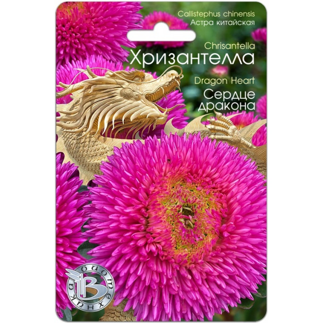 Семена Астра Хризантелла Сердце Дракона 30шт БиоТехника