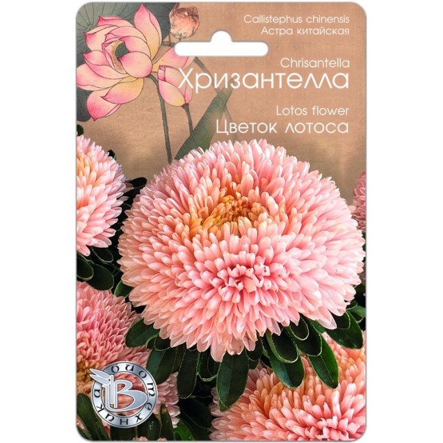 Семена Астра Хризантелла Цветок Лотоса 30шт БиоТехника