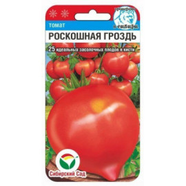 Семена Томат Роскошная гроздь 20шт Сибирский сад