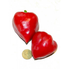 Семена Перец сладкий Сердце любимого