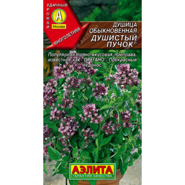 Семена Душица Душистый пучок 0,05г Аэлита