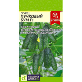 Семена Огурец Пучковый бум 5шт Семена Алтая
