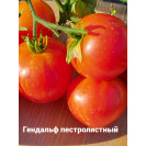 Семена Томат Гном Гендальф пестролистный