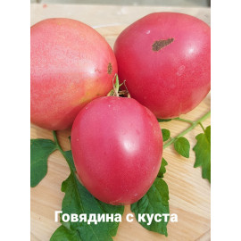 Семена Томат Говядина с куста