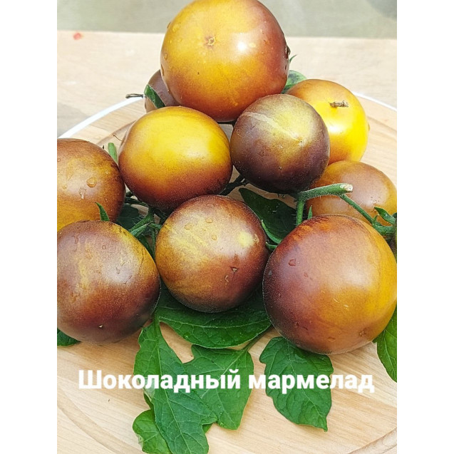 Семена Томат Шоколадный мармелад