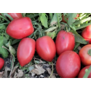 Семена томат Пинк плам F1 5шт (проф) Rijder Seeds