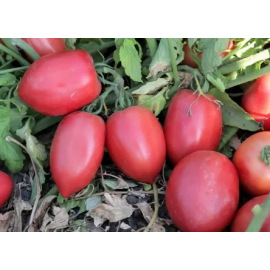 Семена томат Пинк плам F1 5шт (проф) Rijder Seeds