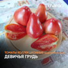 Семена Томат Девичья грудь (Высокорослые)(Красные)(Крупноплодные)(Сердцевидные)