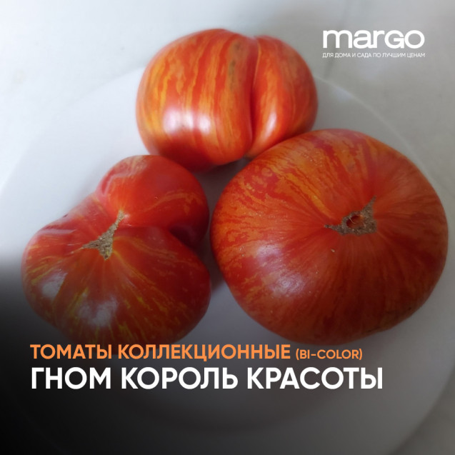 Семена Томат Гном Король красоты(Биколор)(Крупноплодные)(Низкорослые)(Полосатые)