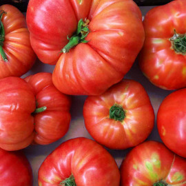Семена томатов крупноплодных