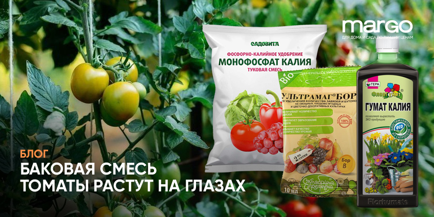 Томаты растут на глазах! Результаты подкормки баковой смесью