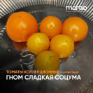 Семена Томат Гном Сладкая Соцума