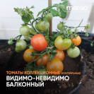 Семена томат Видимо - невидимо балконный(Красные)(Низкорослые)(Коктейльные)