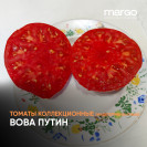Семена Томат Вова Путин (Высокорослые)(Красные)(Крупноплодные)