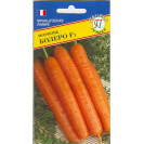 Семена Морковь Болеро 0,5г (Франция) Престиж