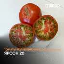 Семена Томат Ярсон 20 (Высокорослые)(Красные)(Крупноплодные)