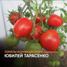 Семена Томат Юбилей Тарасенко (Высокорослые)(Красные)