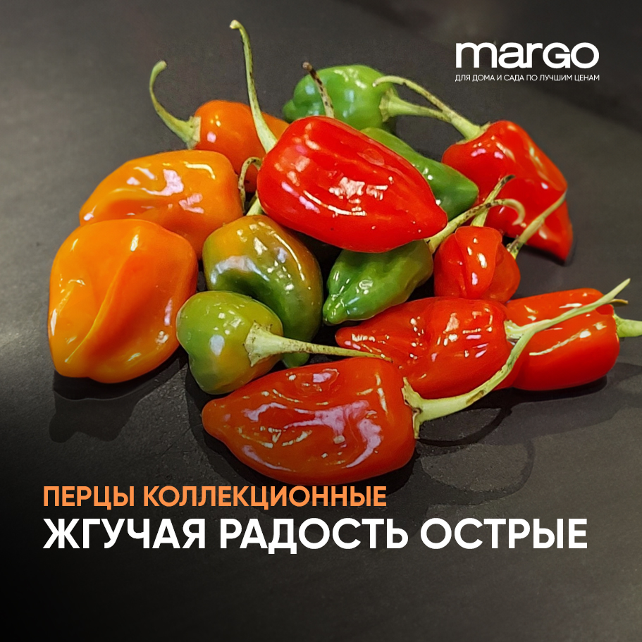 Семена перца - купить недорого в интернет-магазине Margo Shop 33